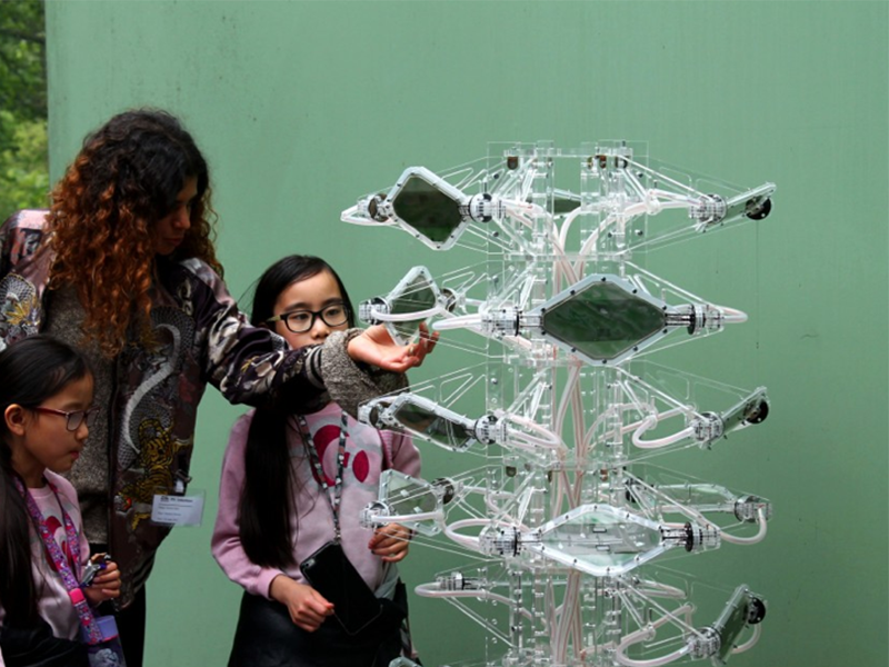 Algavoltaica | Barcelona Creativity & Design Foundation