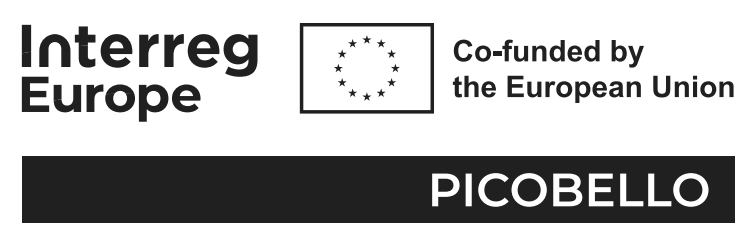 Picobello | Barcelona Creativity & Design Foundation